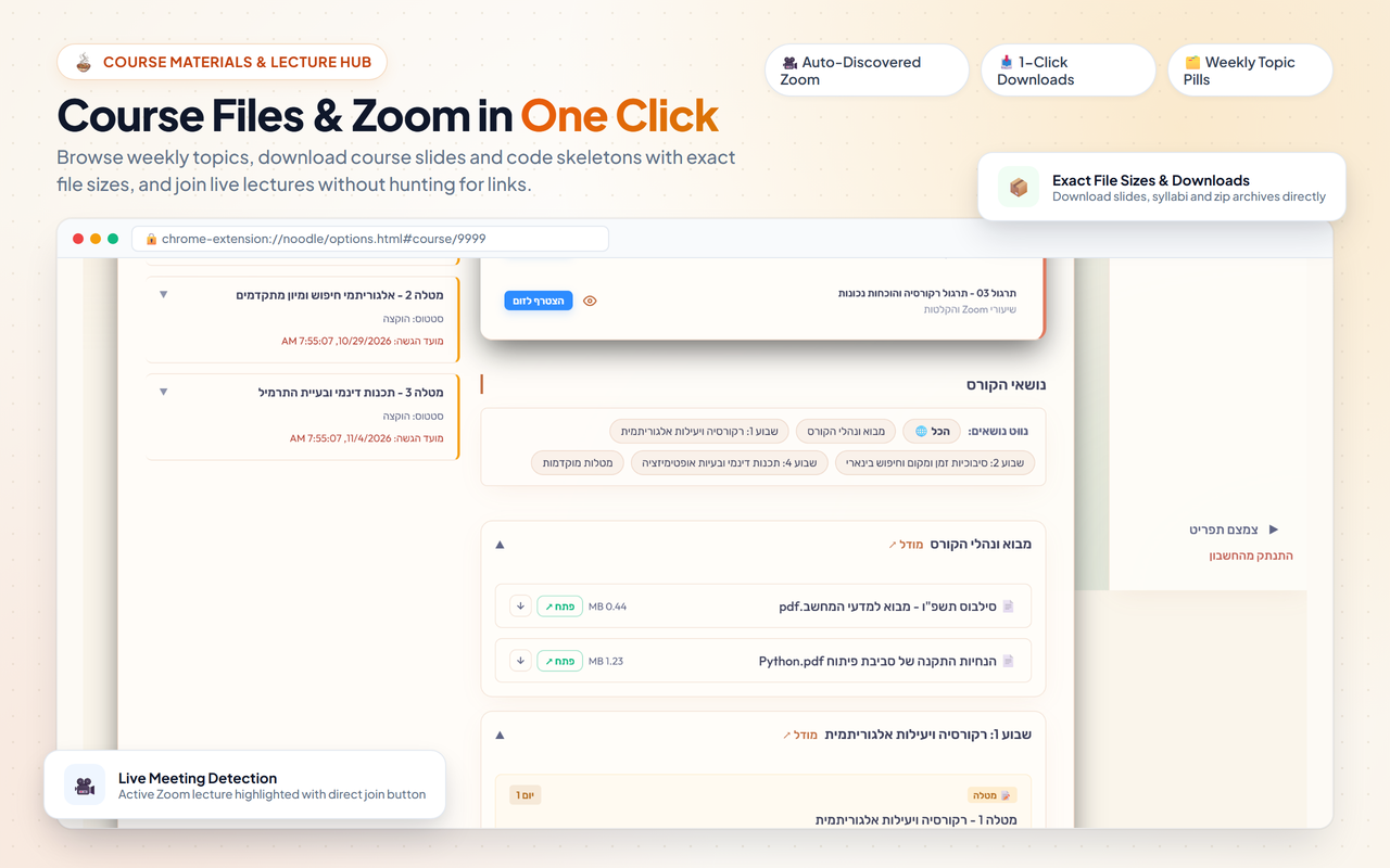 Noodle Zoom Hub and Schedule